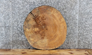 Maple Live Edge Circle Cut Wood Slab, End Table Top 6412